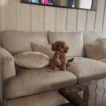 Draper Cleaning Services - Home Cleaning Near Me - Carmel, California Draper Cleaning Services - Home Cleaning Near Me - Carmel, California