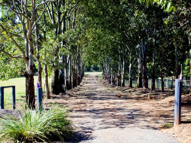 BLACKWATTLE FARM 123 Old Peachester Rd, Beerwah Queensland, Australia