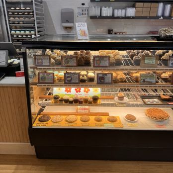Molly’s Cupcakes - Cupcakes Near Me - Ann Arbor, Michigan Molly’s Cupcakes - Cupcakes Near Me - Ann Arbor, Michigan