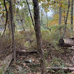Mountain Creek Riding Stables