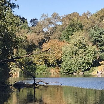 Central Park Conservancy - Parks Near Me - New York, New York