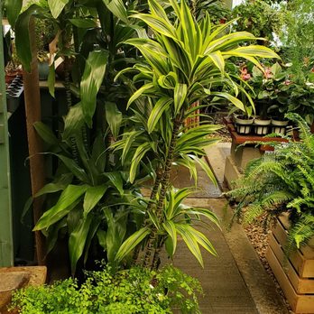Moana Nursery - Landscaping Near Me - Reno, Nevada Moana Nursery - Landscaping Near Me - Reno, Nevada