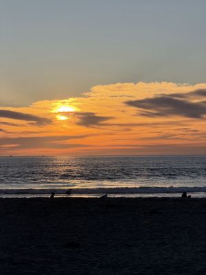 Mission Beach Park by null