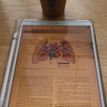 Blue Bottle Coffee - Beverly Grove - Thank you for such a nice place to study - Coffee & Tea Near Me - Los Angeles, California