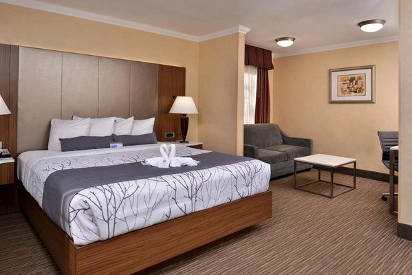 Best Western Hollywood Plaza Hotel - Walk of Fame Film City LA by null