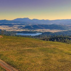 Wild Diamond Vineyards - View from 2200ft