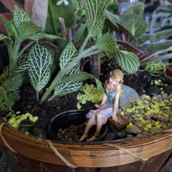 Faith Designs - Fairy Garden