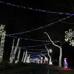 Lights Lights