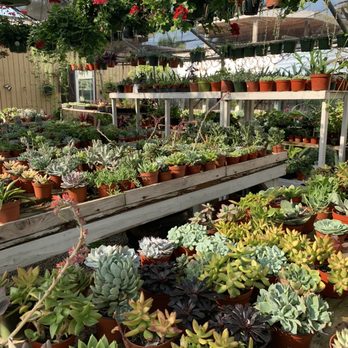 Bamby's Flowers - The back of the shop - Florists Near Me - Carlsbad, California Bamby's Flowers - The back of the shop - Florists Near Me - Carlsbad, California