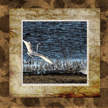 Meadow Lake Park - Parks Near Me - Round Rock, Texas Meadow Lake Park - Parks Near Me - Round Rock, Texas