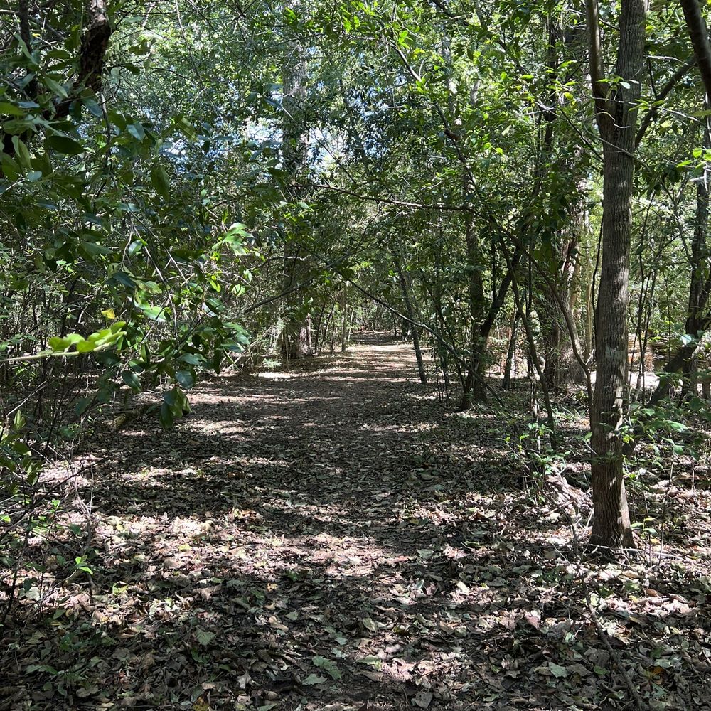 Edith L Moore Nature Sanctuary - Parks Near Me - Houston, Texas Edith L Moore Nature Sanctuary - Parks Near Me - Houston, Texas