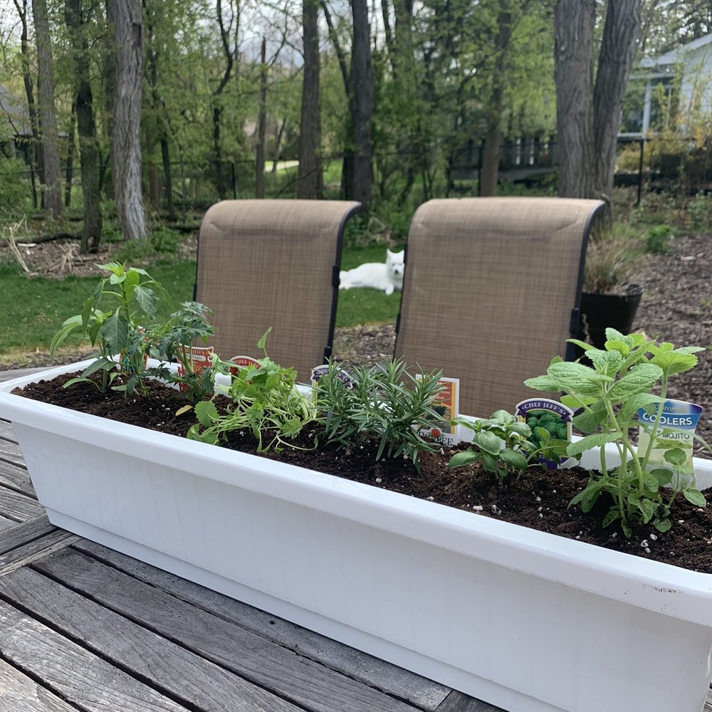Koetsier's Greenhouse - Peppers and herbs! - Nurseries & Gardening Near Me - Grand Rapids, Michigan