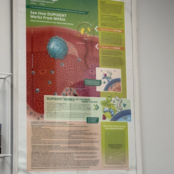 Premier Allergy Asthma & Immunology - Information - Immunodermatologists Near Me - Phoenix, Arizona Premier Allergy Asthma & Immunology - Information - Immunodermatologists Near Me - Phoenix, Arizona
