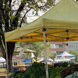 Palizzi Farms - Palizzi Farms Tent @ Central Park Farmer' s Market