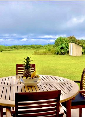 Puna Rainforest Retreat: Hot springs and steam vents by null