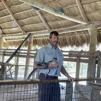 gator park - John showing baby croc. So cool!!! - Boat Tours Near Me - Miami, Florida gator park - John showing baby croc. So cool!!! - Boat Tours Near Me - Miami, Florida