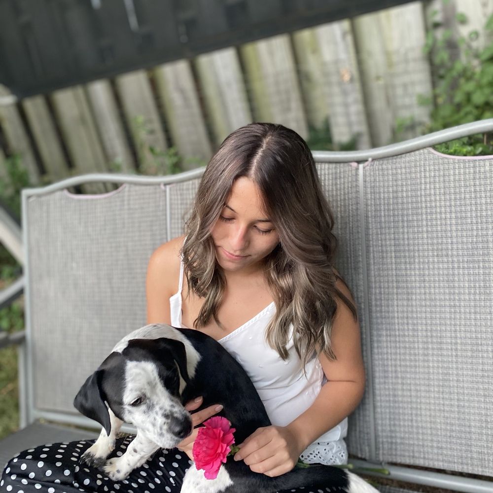 The Best 10 Hair Salons near Belden Village Mall in Canton, OH Yelp