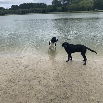 James Island County Park - Dog park - Parks Near Me - Charleston, South Carolina James Island County Park - Dog park - Parks Near Me - Charleston, South Carolina