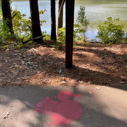 Squirrel trail marker