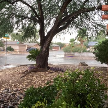 Quality Tree Service - Tree Services Near Me - Tucson, Arizona