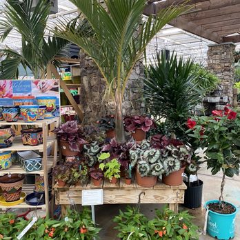 Merrifield Garden Center - Nurseries & Gardening Near Me - Gainesville, Virginia