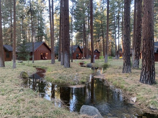 FivePine Lodge and Spa by null