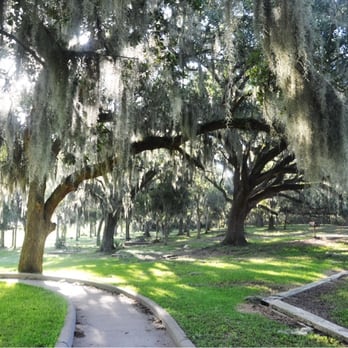 Brazos Bend State Park - Picnic area by 40-Acre Lake - Parks Near Me - Needville, Texas Brazos Bend State Park - Picnic area by 40-Acre Lake - Parks Near Me - Needville, Texas