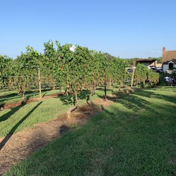Lake Anna Winery - Vineyard - Wine Tours Near Me - Spotsylvania, Virginia Lake Anna Winery - Vineyard - Wine Tours Near Me - Spotsylvania, Virginia