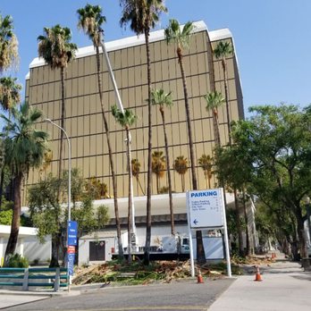 AC Tree Service - Tree Services Near Me - Rialto, California AC Tree Service - Tree Services Near Me - Rialto, California