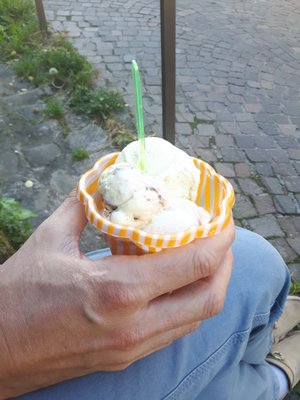 Glacier des Alpes by null