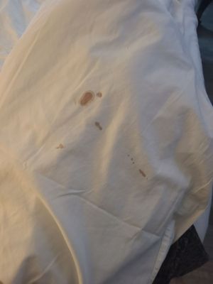 Metropolitan Inn by null