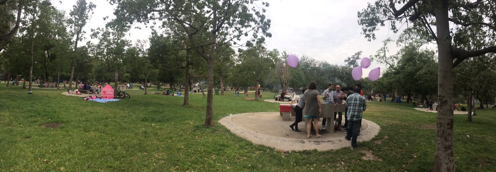 Los Quinchos del Parque O'Higgins