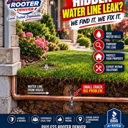 Payless Rooter - Water leaks