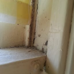 Dust and spiderweb in windows