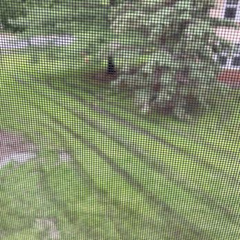 Franklin Outdoor Services - Lawn damage from mower wheels caused by mowing in rain. - Landscaping Near Me - Lakeville, Minnesota