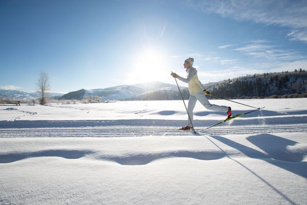 Backcountry Safaris by null