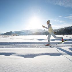 Backcountry Safaris - Backcountry Safaris offers scenic wildlife tours of Yellowstone and Grand Teton National Parks from Jackson Hole, Wyoming...