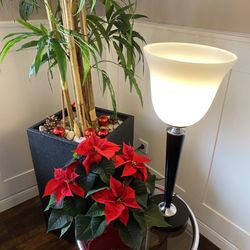 Dr. J. Brandhorst - Weihnachtsdekoration im Wartezimmer. Christmas decoration in the waiting area.