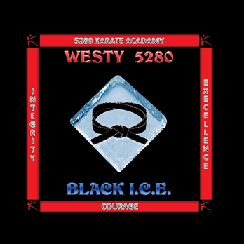 Black ICE Martial Arts - Change your life. Break away from the crowd. - Martial Arts Near Me - Westminster, Colorado Black ICE Martial Arts - Change your life. Break away from the crowd. - Martial Arts Near Me - Westminster, Colorado