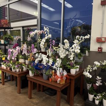 Ralphs - Grocery Near Me - Garden Grove, California