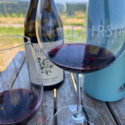 Fairsing Vineyard - 2018 Pinot Noir