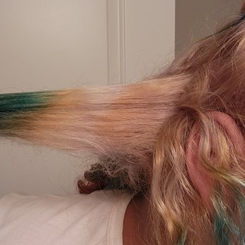 Maven Salon - Zebra stripes - Hair Salons Near Me - Lynchburg, Virginia