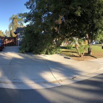 Ortega's Jr Tree Service - Tree Services Near Me - Riverside , California Ortega's Jr Tree Service - Tree Services Near Me - Riverside , California