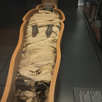 Musei Vaticani - Museums Near Me - Rome, RM