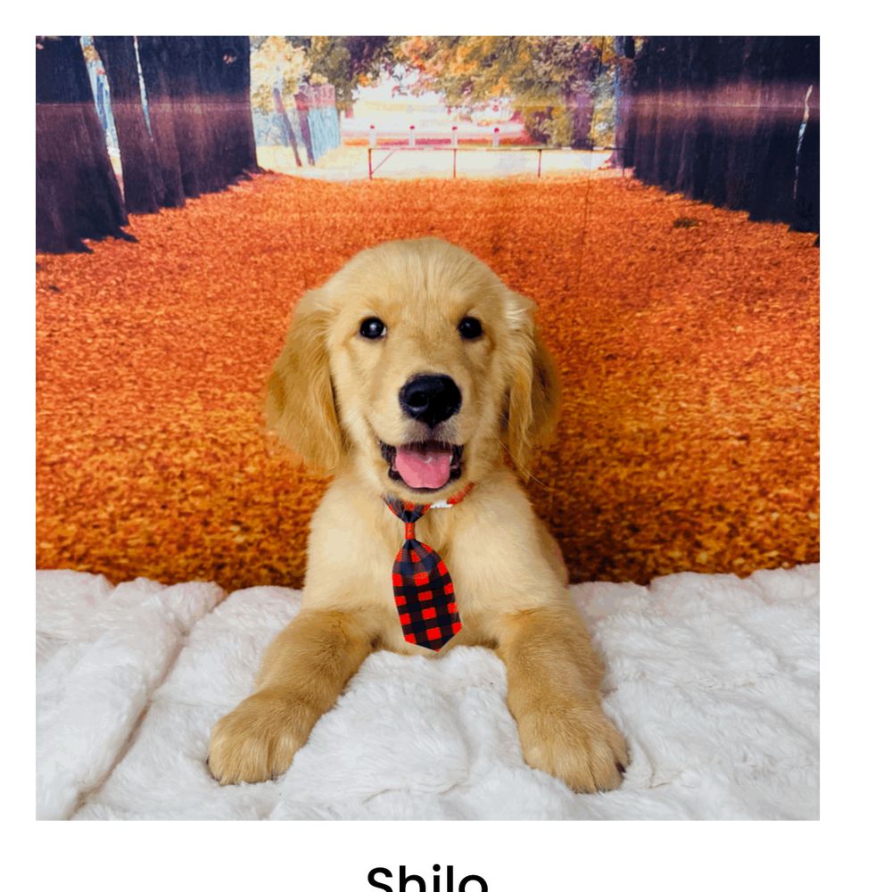 THE BEST 10 PET STORES in OCALA, FL - Updated 2026 - Hours - Yelp