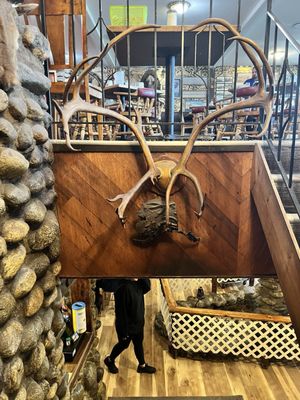 Gwennie's Old Alaska Restaurant by null
