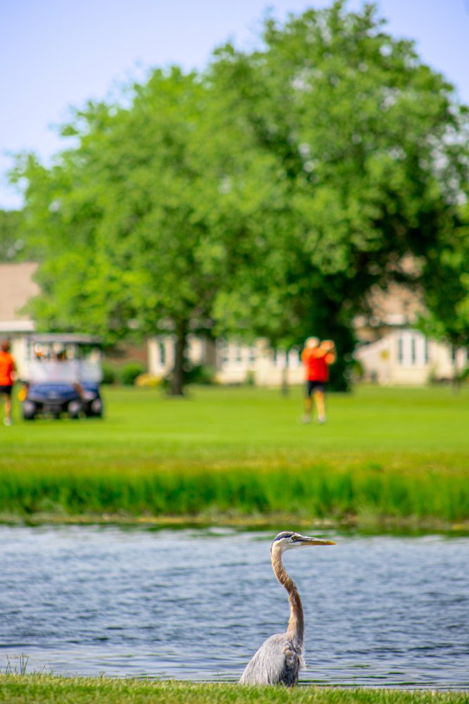 The Oaks At River's Edge Logo