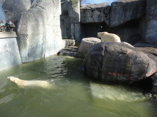Copenhagen Zoo by null