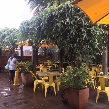 Sunflower Caffe - Cute patio on a dewey morning fresh from rain!! - Coffee & Tea Near Me - Sonoma, California Sunflower Caffe - Cute patio on a dewey morning fresh from rain!! - Coffee & Tea Near Me - Sonoma, California