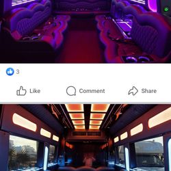 Hometown Limousine Service - New Sprinter sits 10-11 guests